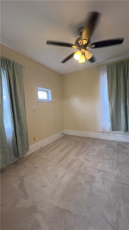 523 Tracy Avenue — photo 31