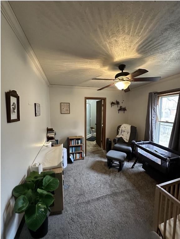 205 E Maple Street — photo 10