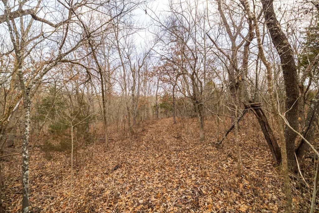 TBD NW 871st Road — photo 39