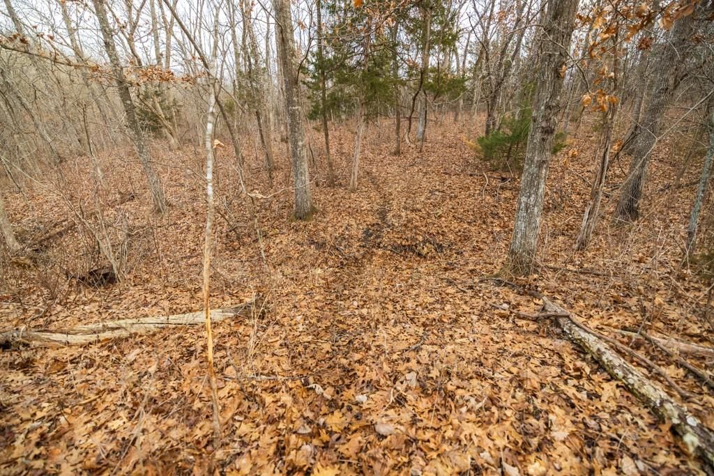 TBD NW 871st Road — photo 42