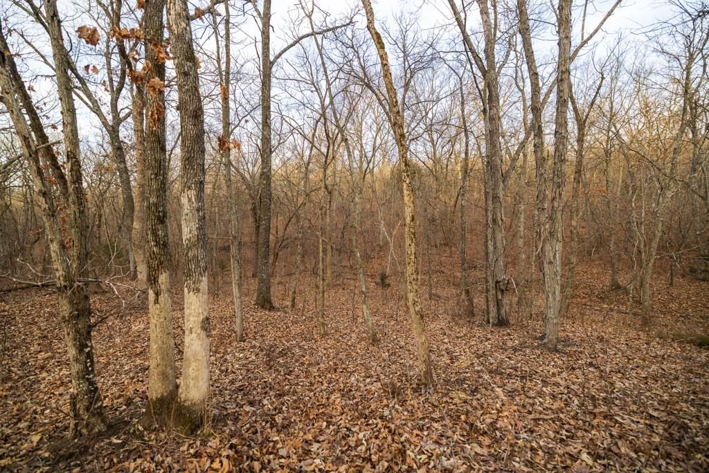 TBD NW 871st Road — photo 45