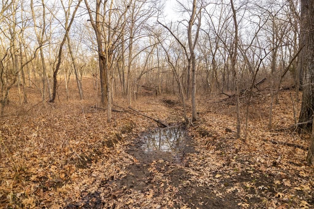 TBD NW 871st Road — photo 52