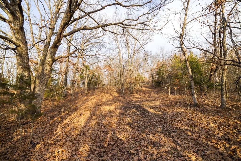 TBD NW 871st Road — photo 55