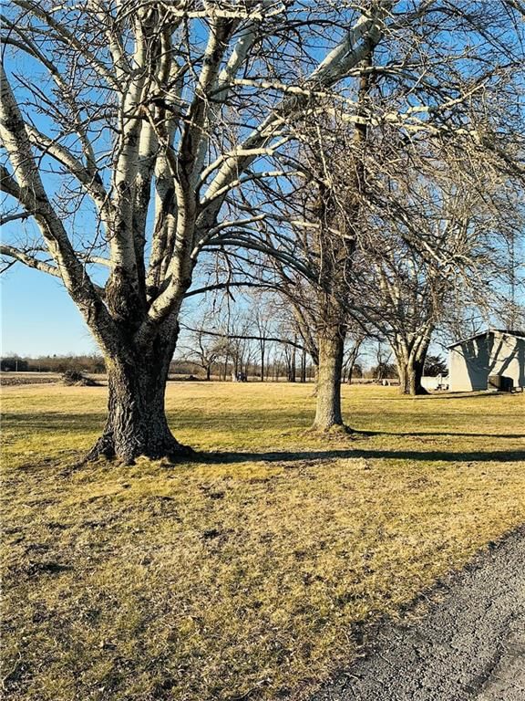 22554 Robertson Road — photo 8