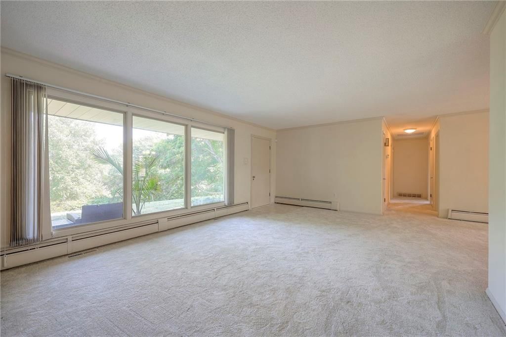 4036 Shrine Park Road — photo 14