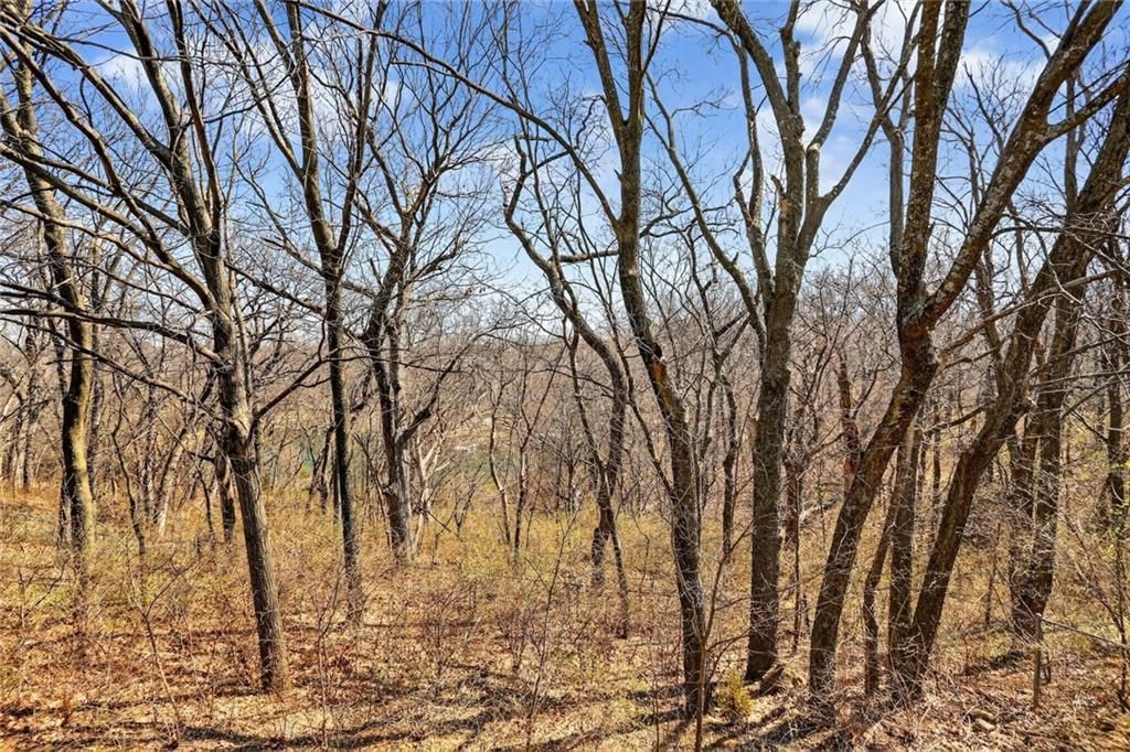 5917 Greenwood Drive — photo 16