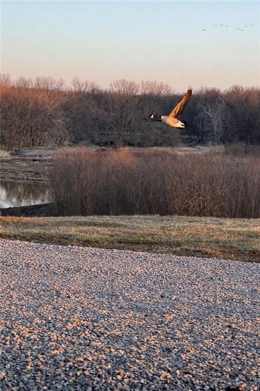 21195 Edgerton Junction Road — photo 29