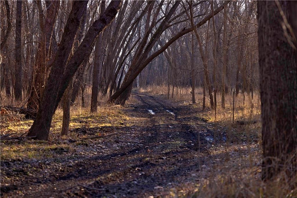 21195 Edgerton Junction Road — photo 72