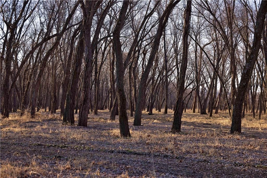 21195 Edgerton Junction Road — photo 74