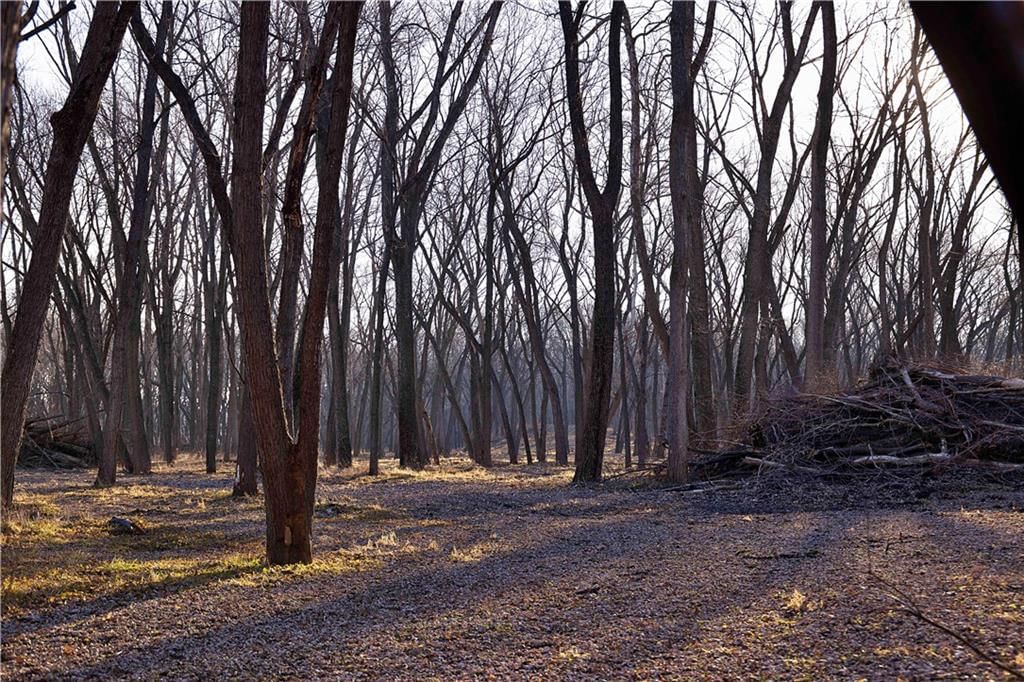 21195 Edgerton Junction Road — photo 82