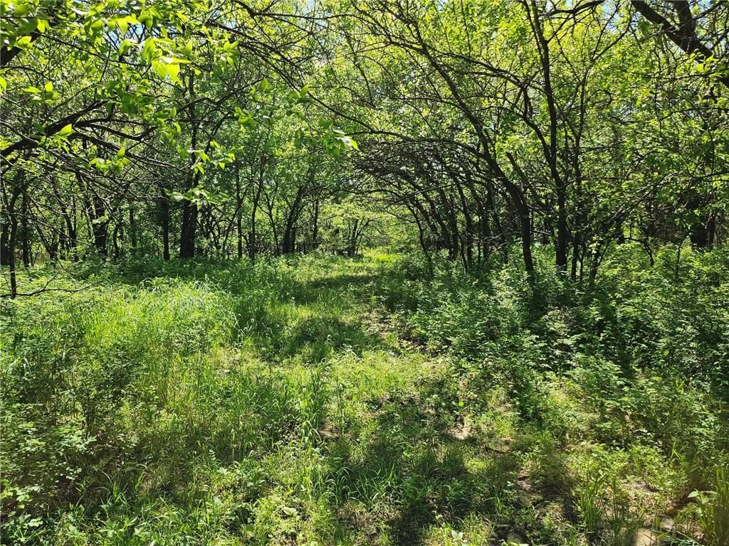 0000 250 Street — photo 11