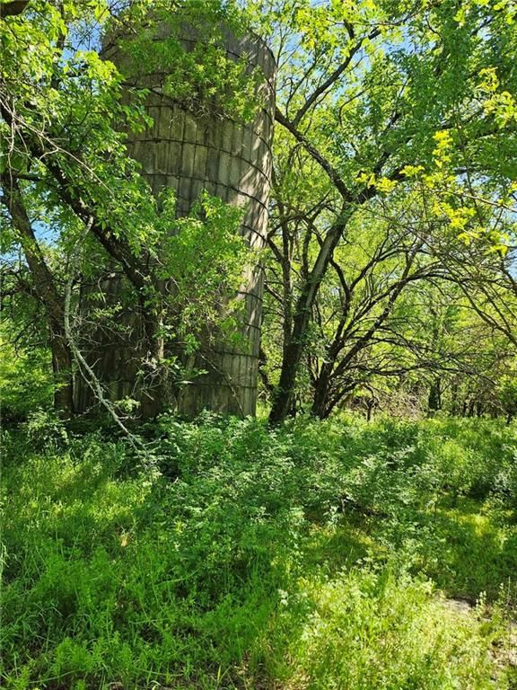 0000 250 Street — photo 12