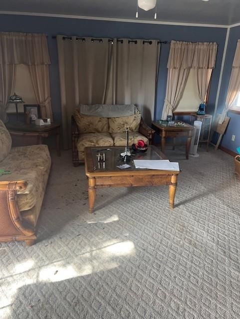 1830 Ness Road — photo 7