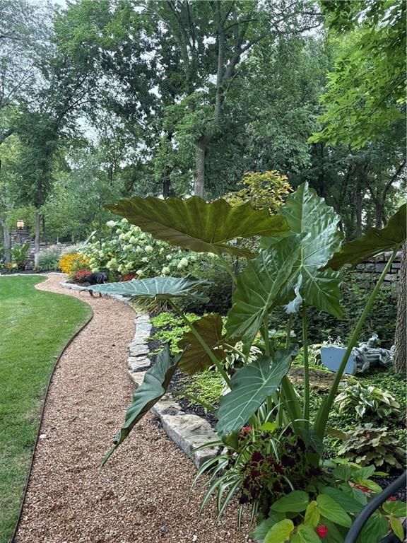 16900 Highland Ridge Drive — photo 58