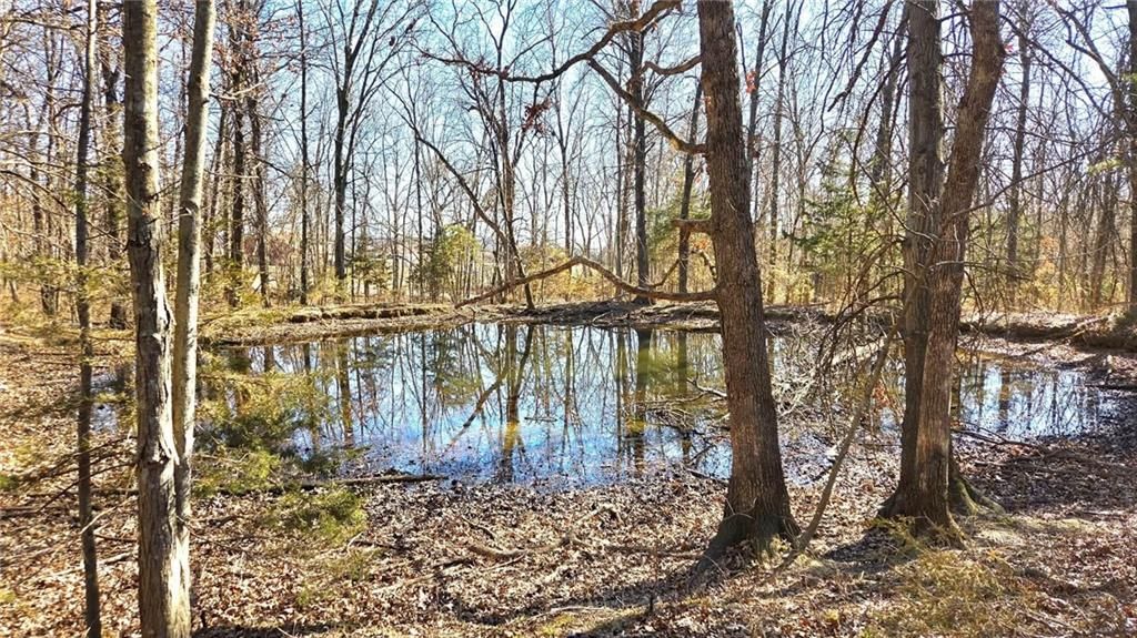 00000 Phillips Road — photo 2