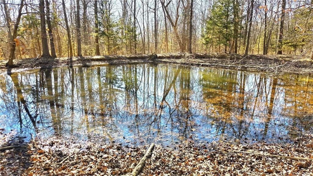 00000 Phillips Road — photo 3