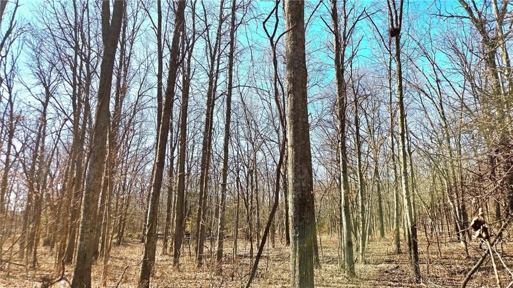 00000 Phillips Road — photo 4