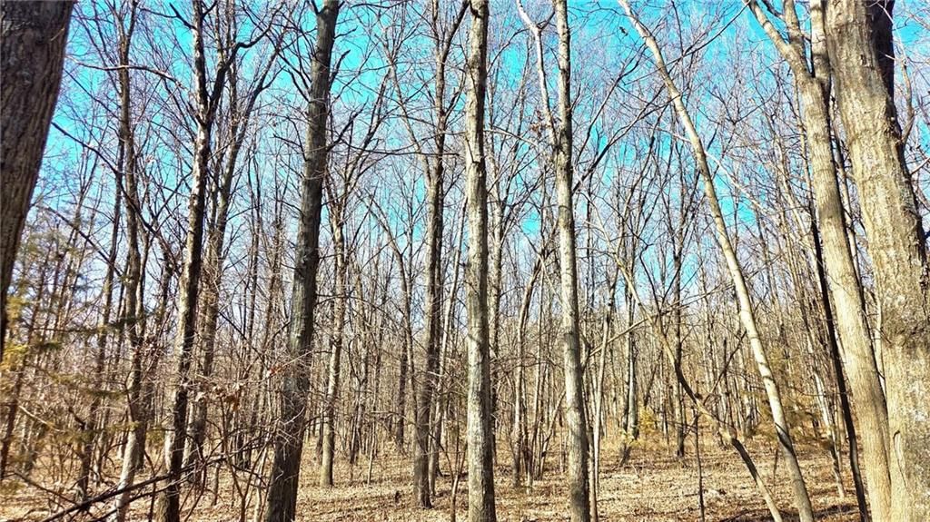 00000 Phillips Road — photo 5