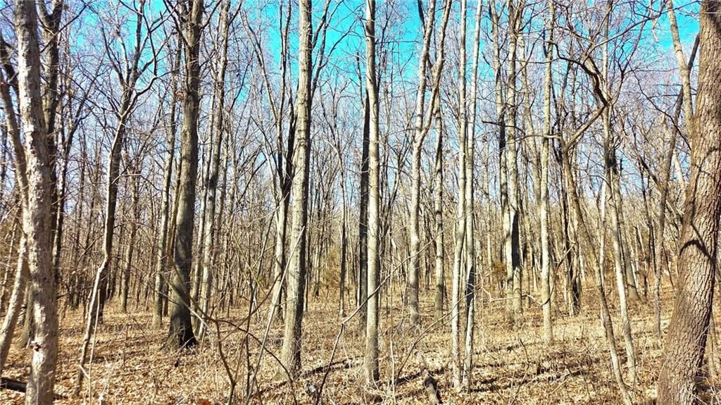 00000 Phillips Road — photo 6
