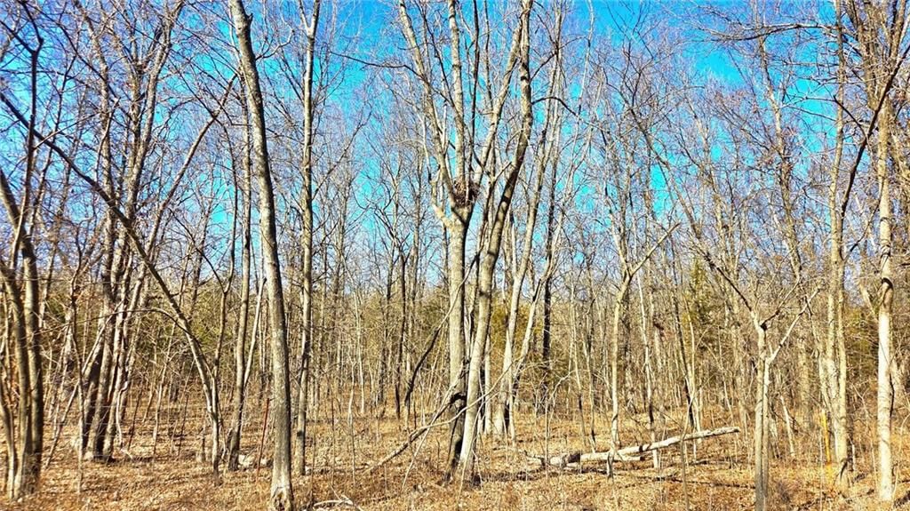 00000 Phillips Road — photo 7