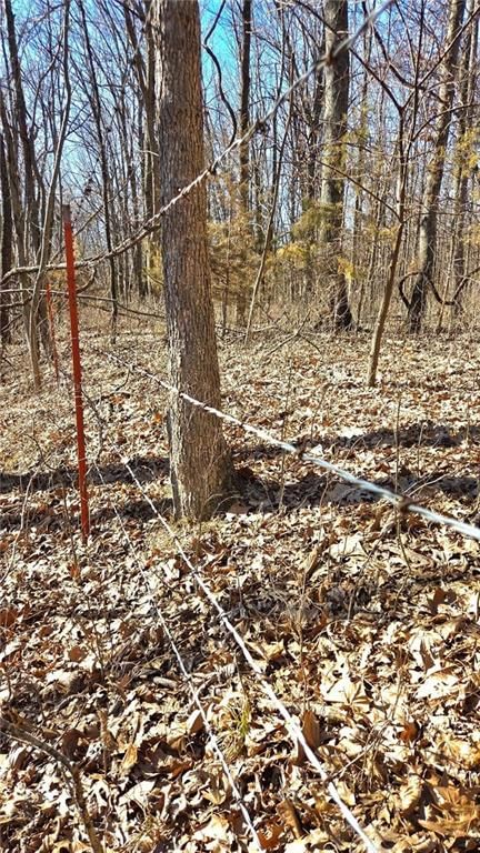 00000 Phillips Road — photo 8