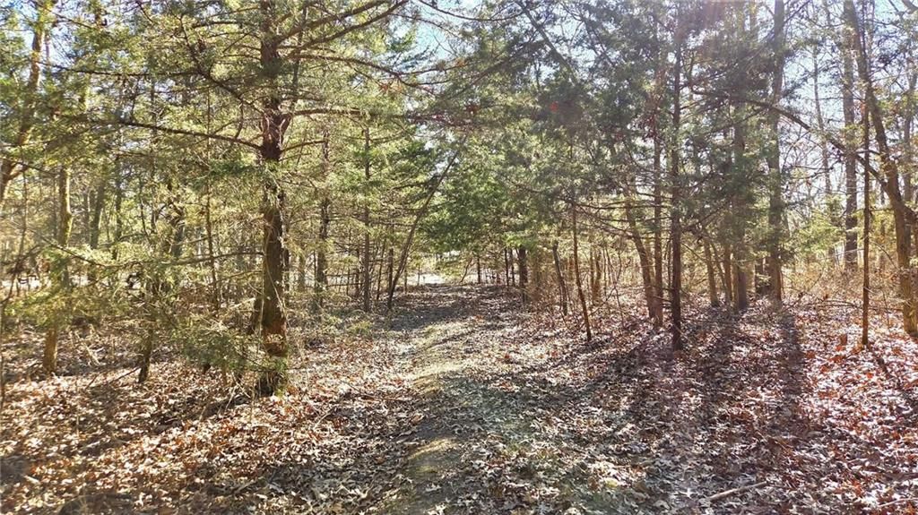 00000 Phillips Road — photo 9