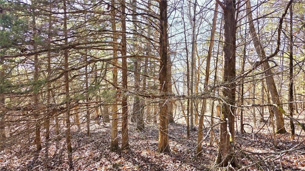 00000 Phillips Road — photo 10