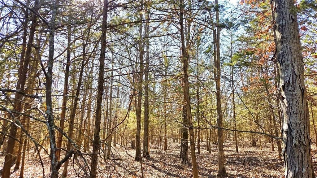 00000 Phillips Road — photo 11