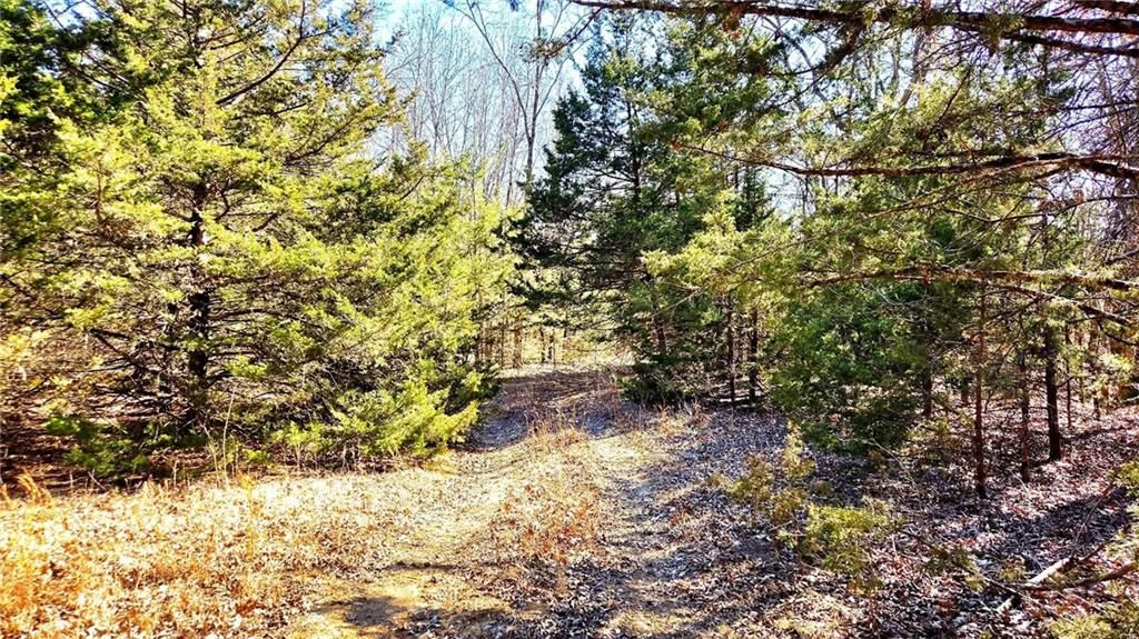 00000 Phillips Road — photo 12