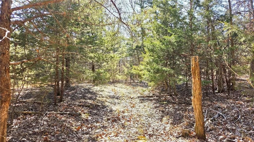 00000 Phillips Road — photo 13