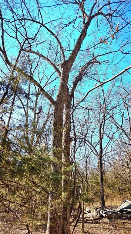 00000 Phillips Road — photo 17
