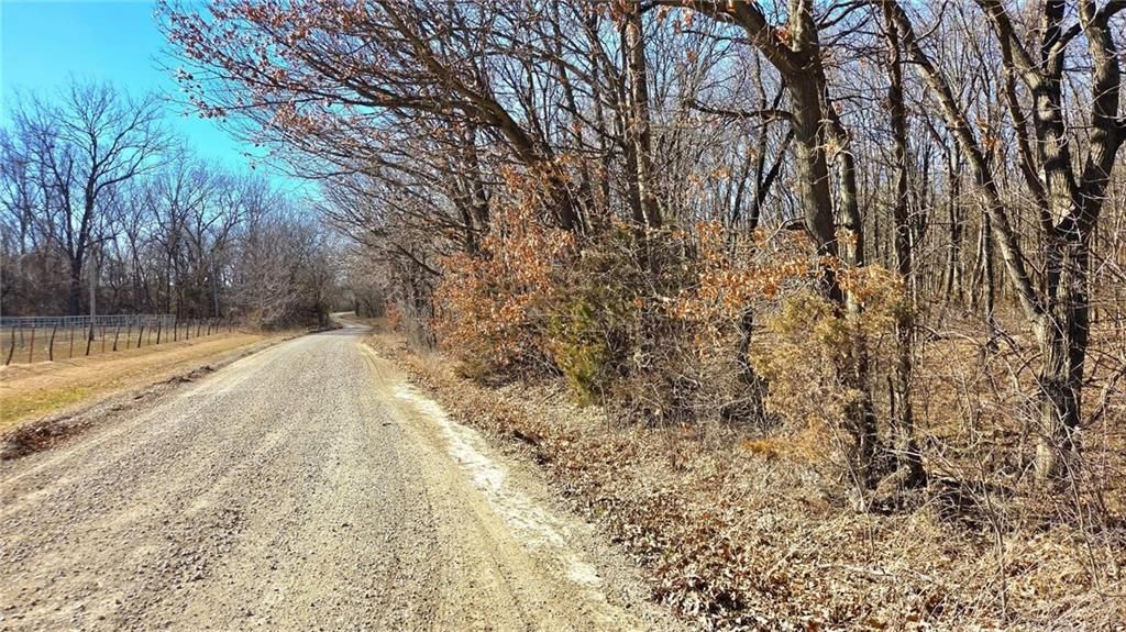 00000 Phillips Road — photo 20