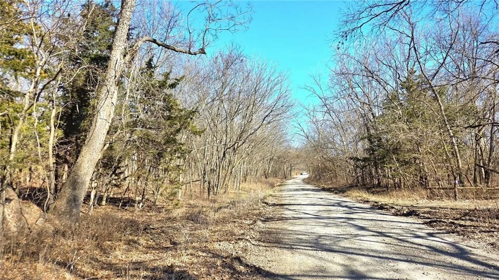 00000 Phillips Road — photo 21