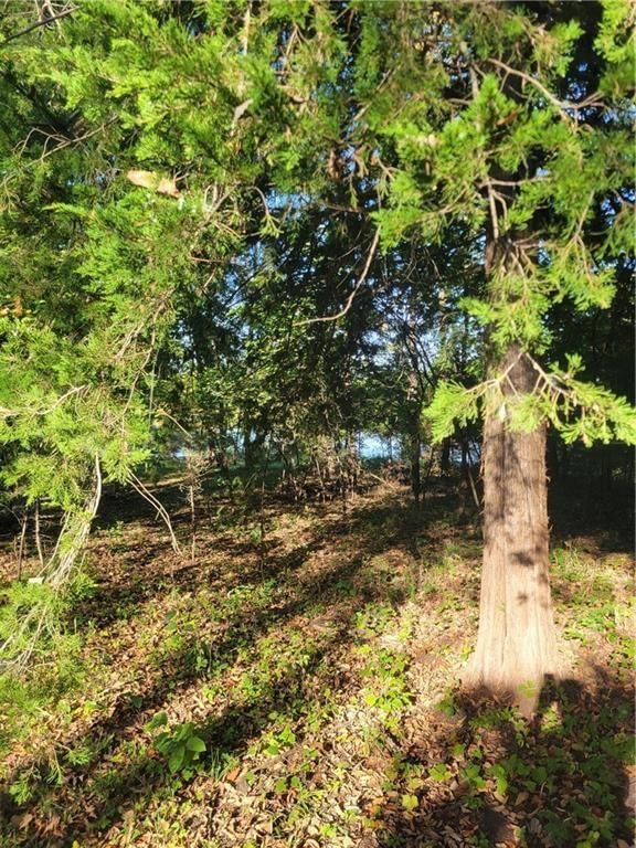 221 Fawn Valley Drive — photo 2