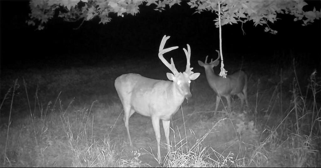 000 SE Texas Road — photo 11