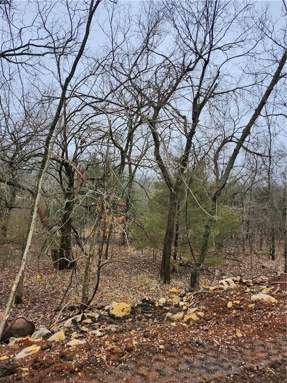 6 & 10 Live Oak Drive — photo 2
