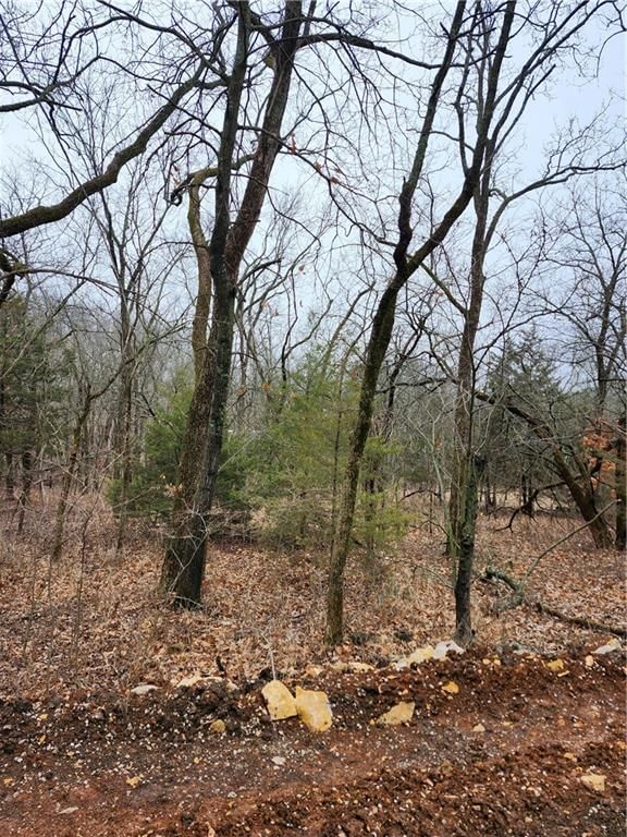 6 & 10 Live Oak Drive — photo 3