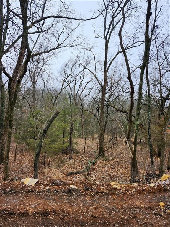6 & 10 Live Oak Drive — photo 4