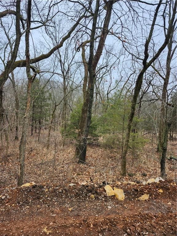 6 & 10 Live Oak Drive — photo 5