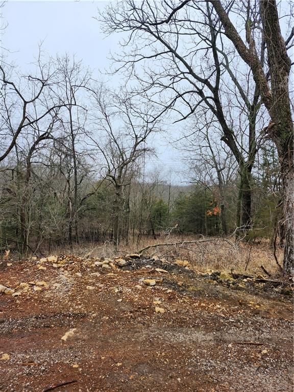 6 & 10 Live Oak Drive — photo 6