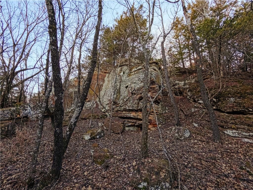 15783 Clay Road — photo 44