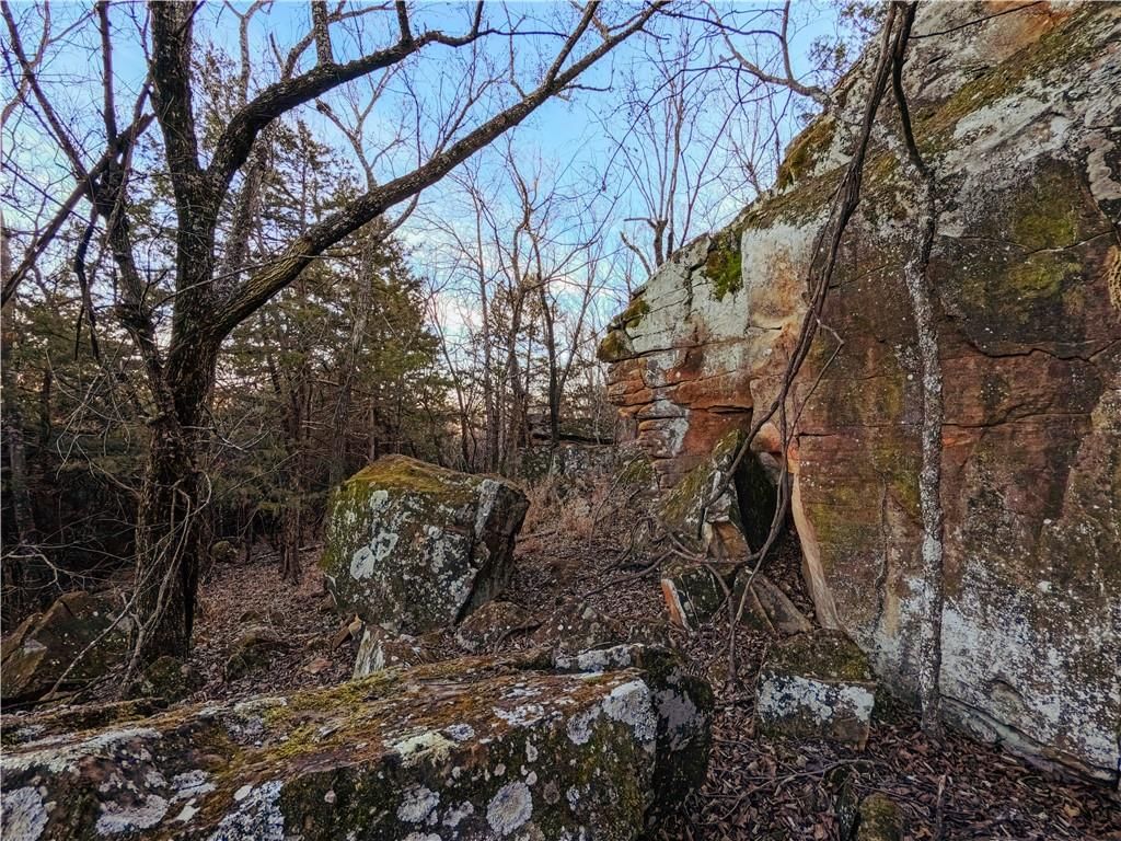 15783 Clay Road — photo 46