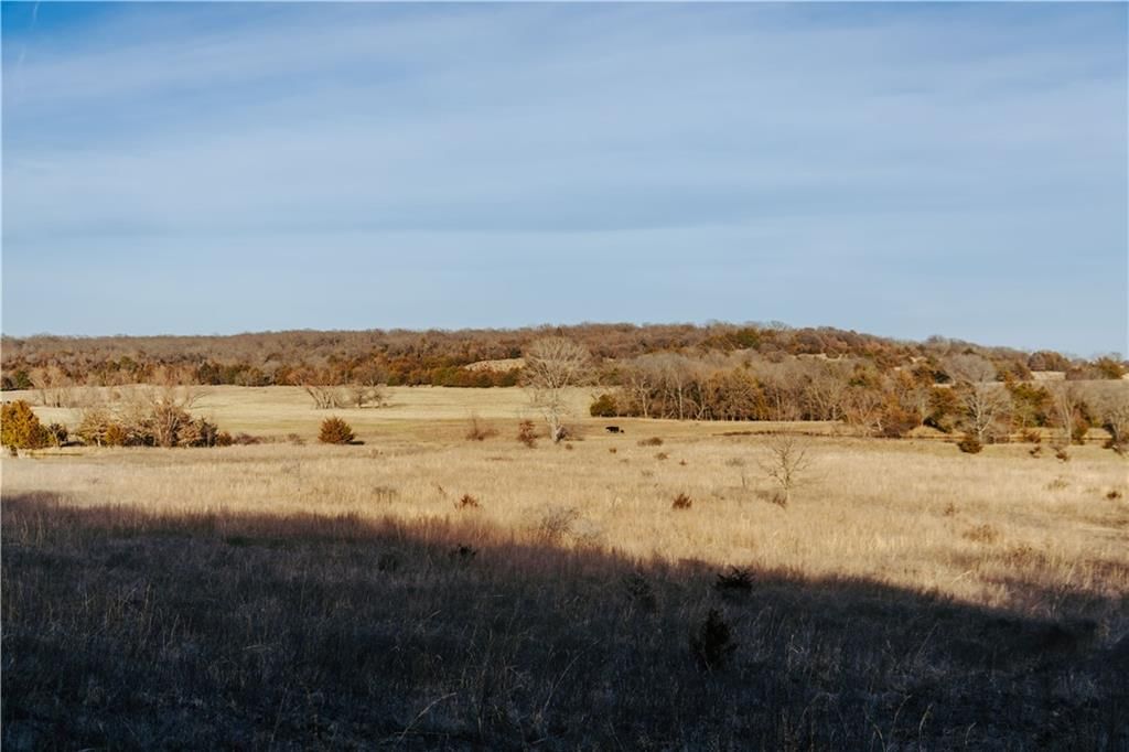 15783 Clay Road — photo 48
