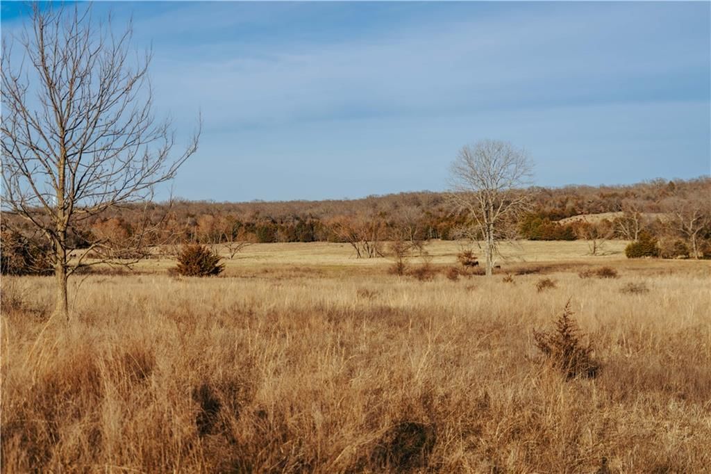 15783 Clay Road — photo 49
