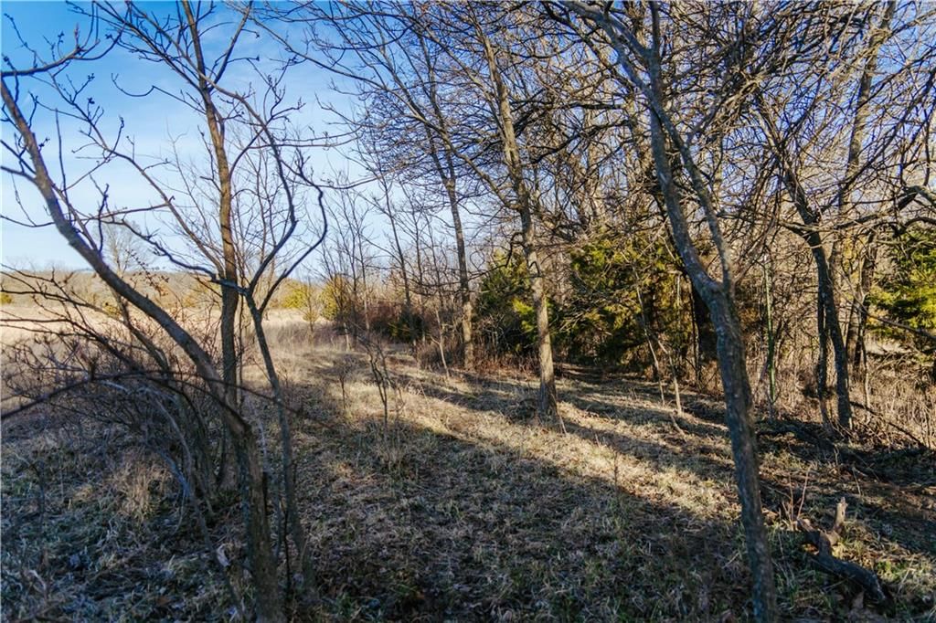 15783 Clay Road — photo 51