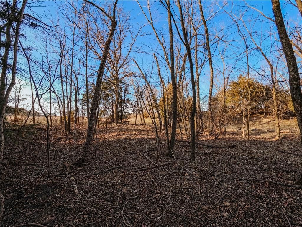 15783 Clay Road — photo 52