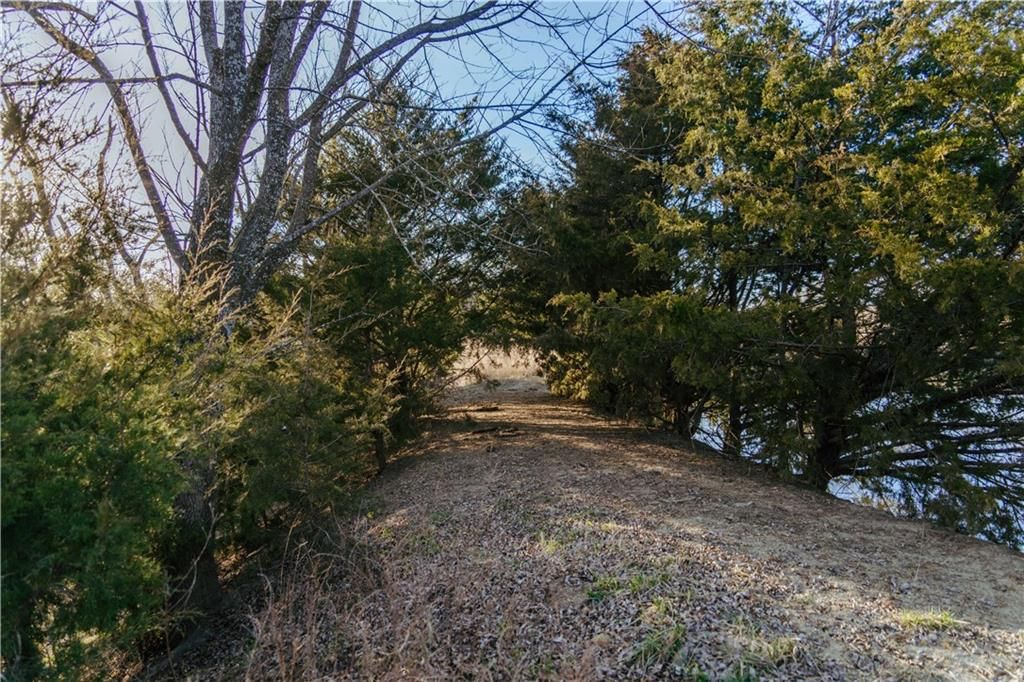 15783 Clay Road — photo 53
