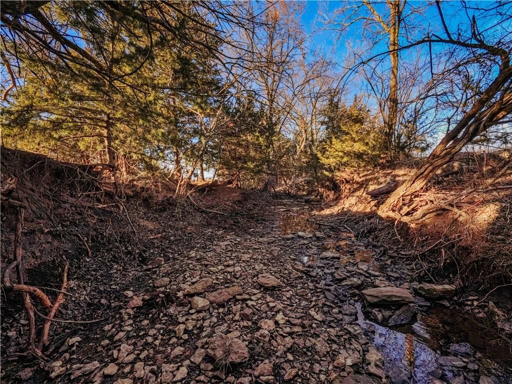 15783 Clay Road — photo 57