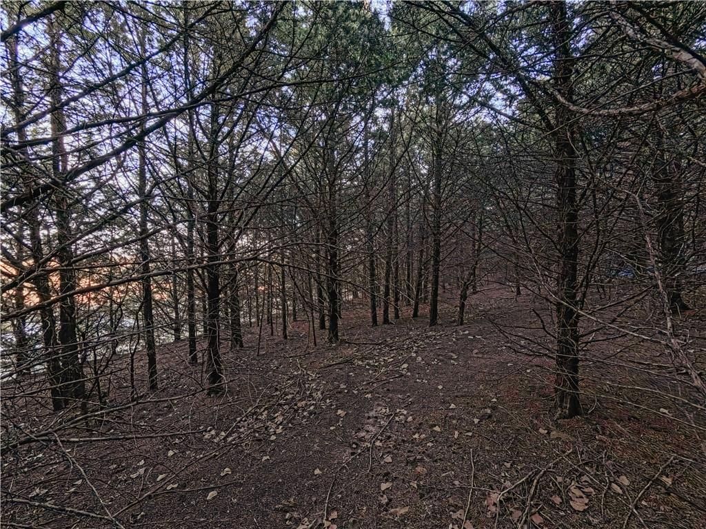 15783 Clay Road — photo 59