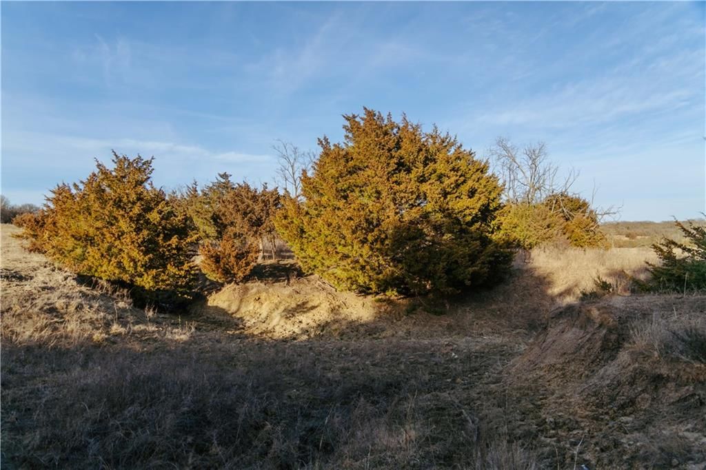 15783 Clay Road — photo 65